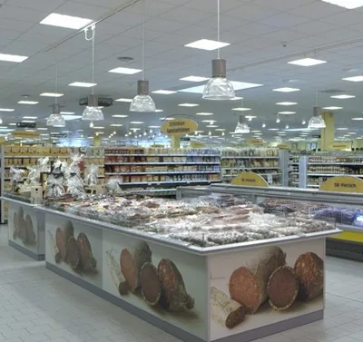 Forro Mineral em Santos - imagem 1 em Santos
